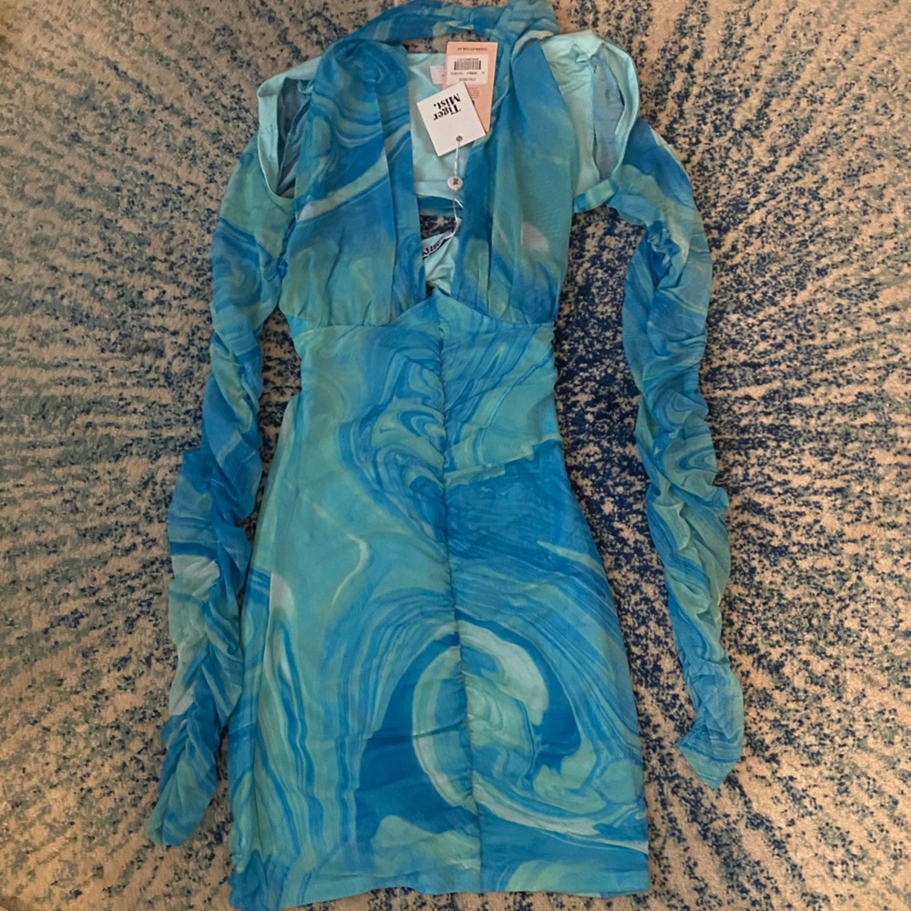 Stas Ruched Mesh Dress - Picture 7 of 8